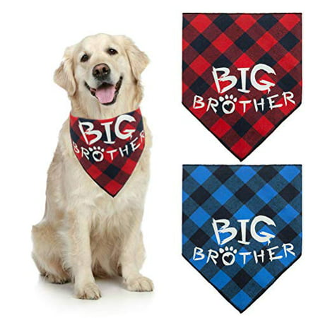Outdoor activities with blue plaid accent over collar reversible Bandanas for Dog Collars